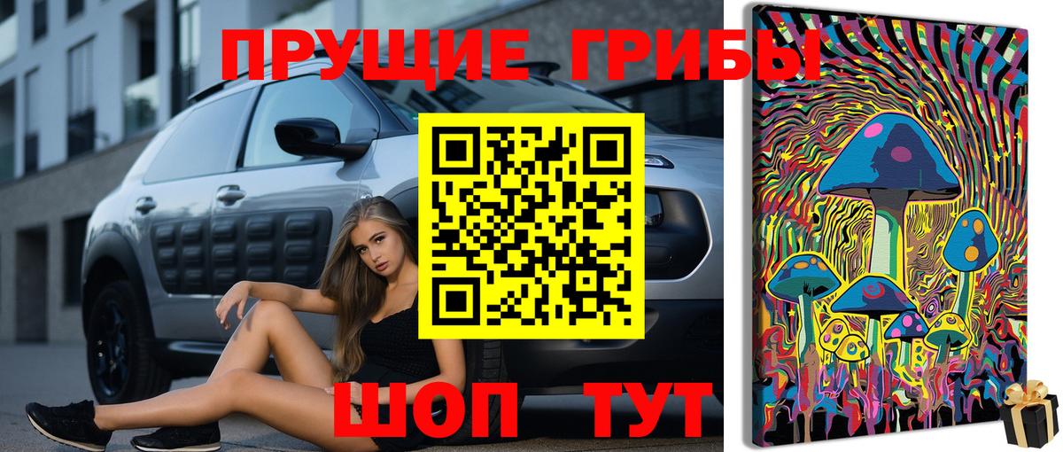 купить   Псилоцибиновые грибы Cubensis  Вход с VPN  Черкесск 