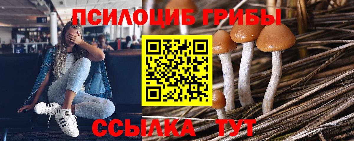 Псилоцибиновые грибы мицелий Черкесск